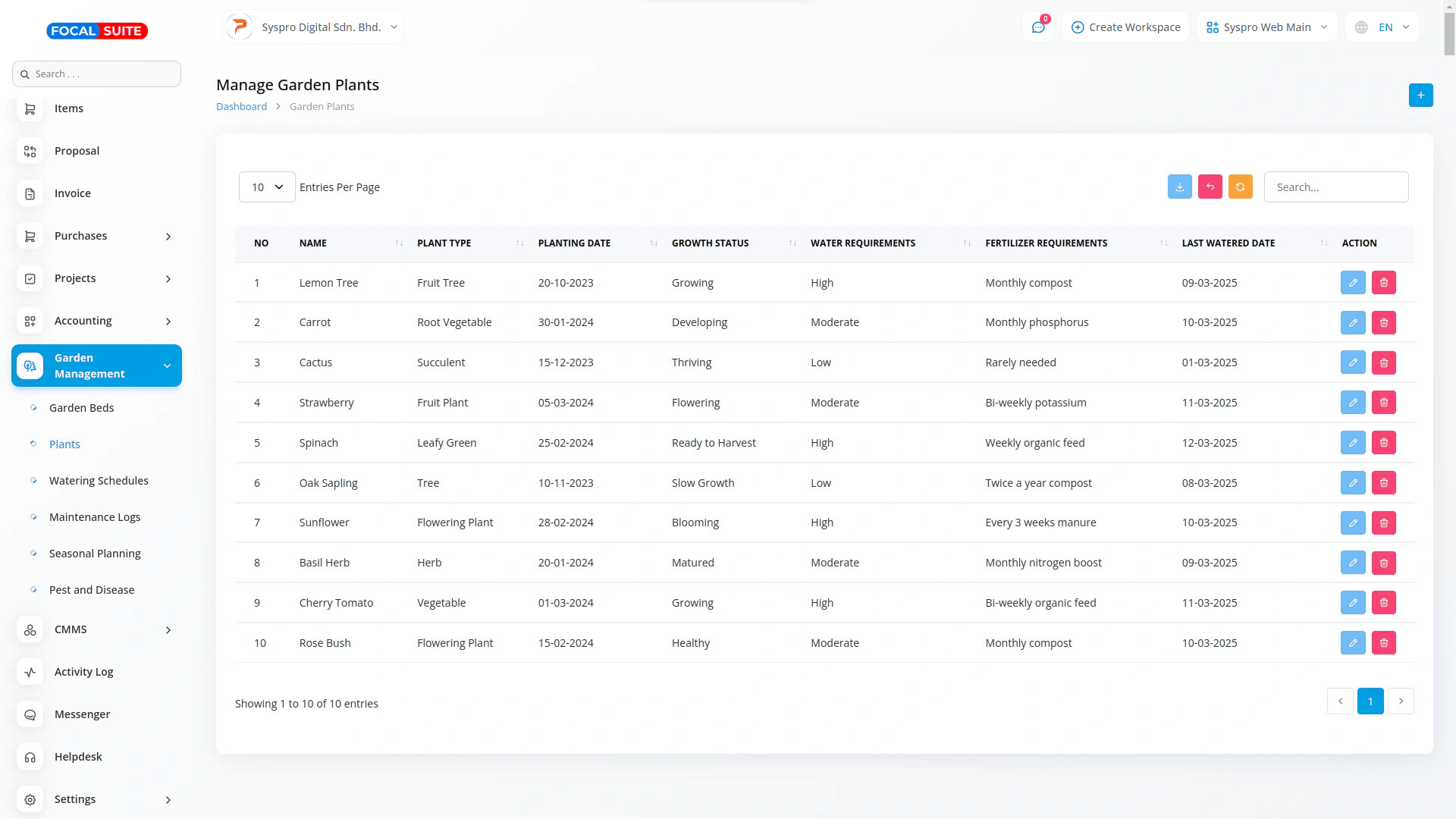 Organic Vegetable Box